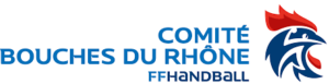 cropped-logo-comite13